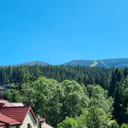 Roża Wiatrów